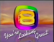 Screen Shot 2019-01-27 at 11.43.35 pm.png (311 KB) 1992-1997 ID