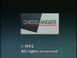 Late 1993 on-screen version