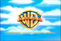 Minor Adjustments (1996)