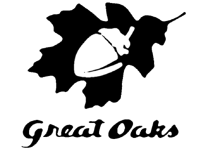 transparent logo