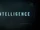 Intelligence