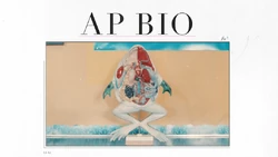 A.P. Bio