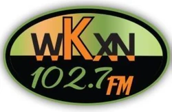 Vaundy little punk ロゴT (green) New NOFX Punk Rock Decal Sticker Vinyl Neon Green Handmade