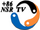+86 NSR TV