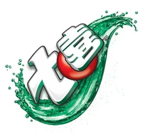 Chinese variant (2007-2009)