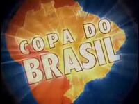 Copa do Brasil 2005