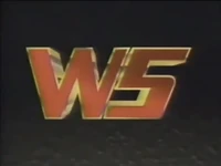 Commercial break bumper