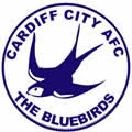 cardiff city logopedia fandom cardiff city logopedia fandom