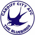 Cardiff City, Logopedia