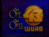 The One the Only ID (1990–1991)