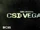 CSI: Vegas
