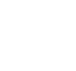 White variant (2007–2017)