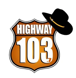 WZVL station logo