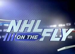 Nhl 2008-09 on the fly