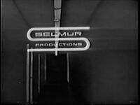 Selmur-emergencyhospital