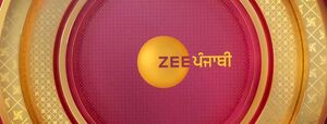 Zee Punjabi cover image