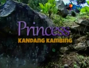 Opening Version