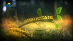 Ad break bumper (202?–present)