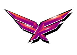 AFLX Flyers