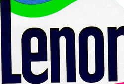 Lenor 1963