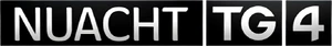 Nuacht TG4 2013