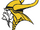 Minnesota Vikings