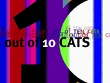 8 Out of 10 Cats