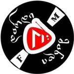 Vinyl variant logo with "FM" text
