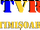 TVR Timișoara