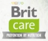Brit Care logo (green variant)
