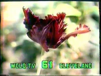 Test slide shown before start of broadcasting