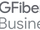 GFiber Business