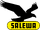 Salewa