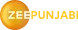 2024–2025