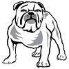 Alternate variant