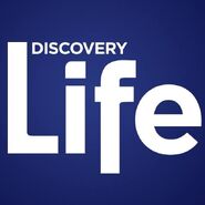 Discovery Life 2016