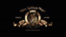 MGM TV 2012