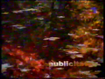 Ad break bumper (Autumn 2002)