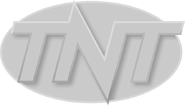 On-screen bug (1998–1999)