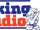 Hits Radio (East Yorkshire & North Lincolnshire)