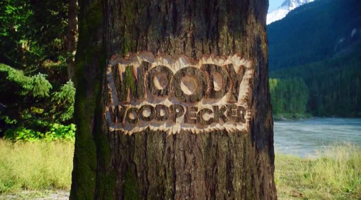 Woodpecker movie woody Woody Woodpecker