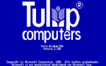 Startup (Windows/286 2.10D, Tulip Computers OEM)