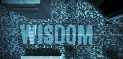 Wisdom