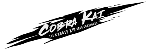 Cobra Kai The Karate Kid Saga Continues