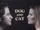 Dog and Cat