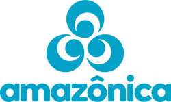 Rede Amazônica 2023