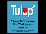 Startup (Tulip Computers OEM)