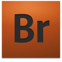 Adobe Bridge (2008-2010)