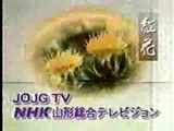 NHK General TV Yamagata