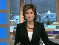 On-screen bug, frame B (2008)